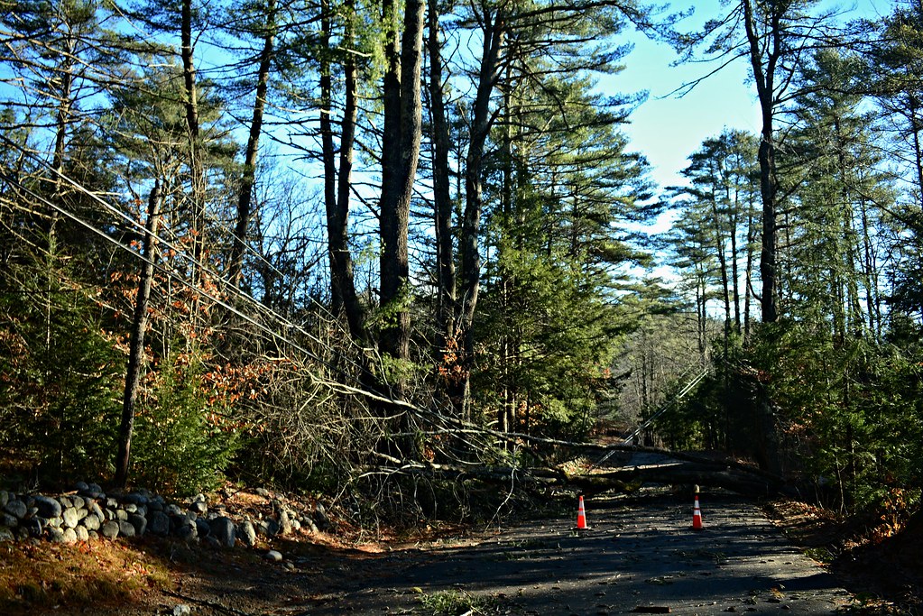 20231219WindStorm0001 Parsonsfield, Maine. Sunday and Mo… Flickr