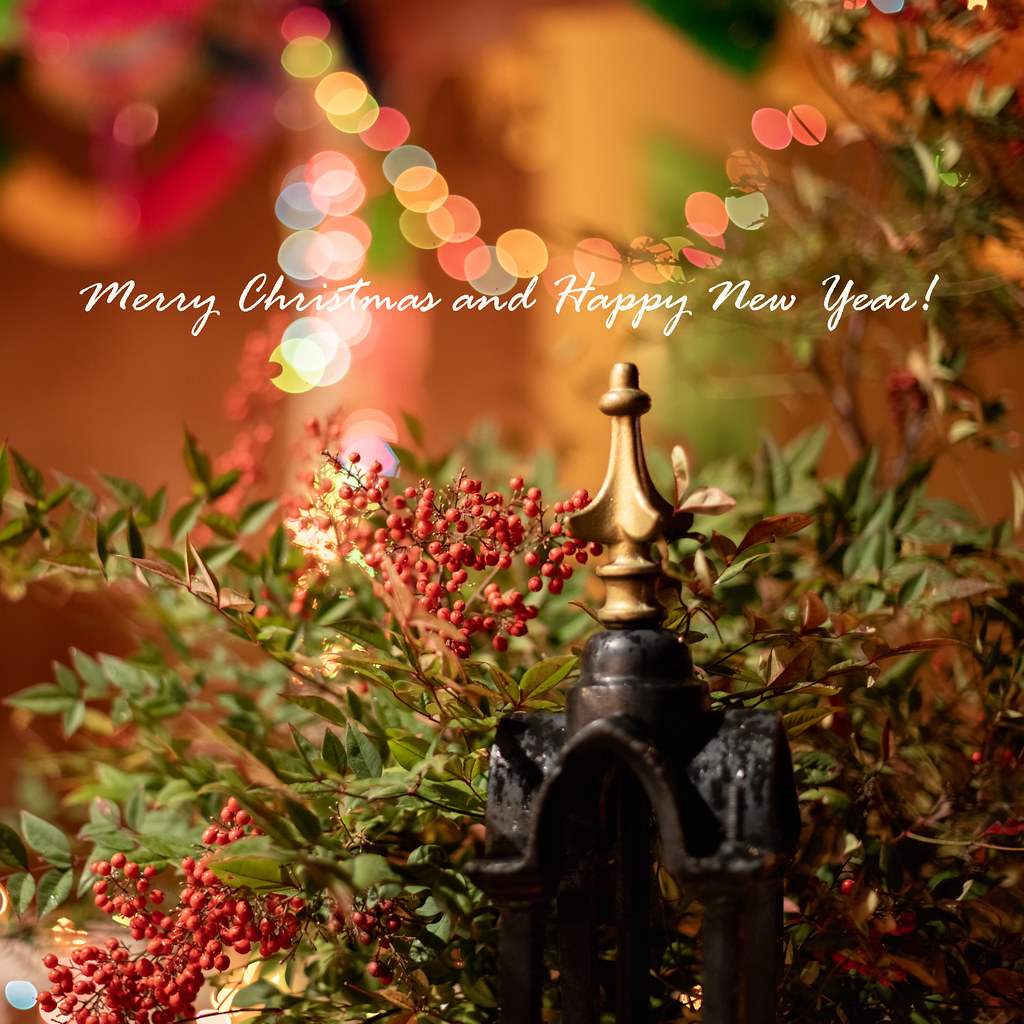 Old Town Christmas Lights, Albuquerque New Mexico USA Flickr