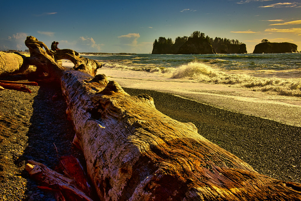 Rialto Beach Watchers, Washington Don Briggs Flickr