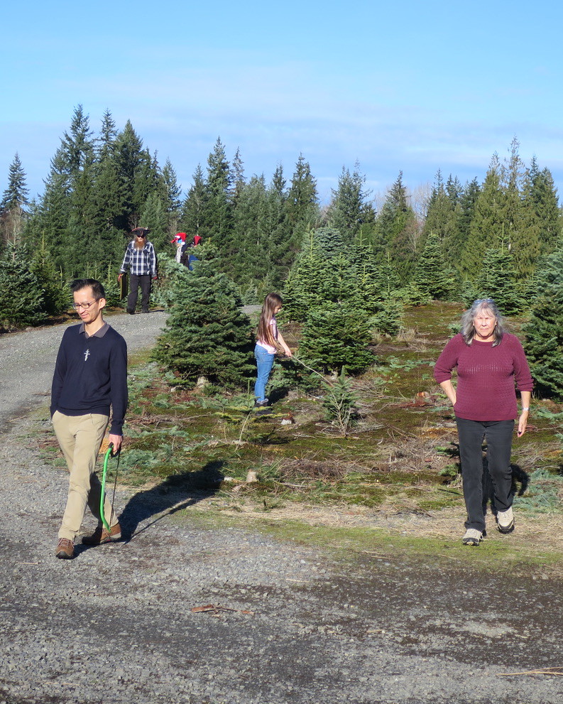 IMG_5205.JPG Christmas trees, Arlington, WA. Oxbow_Lebach Flickr