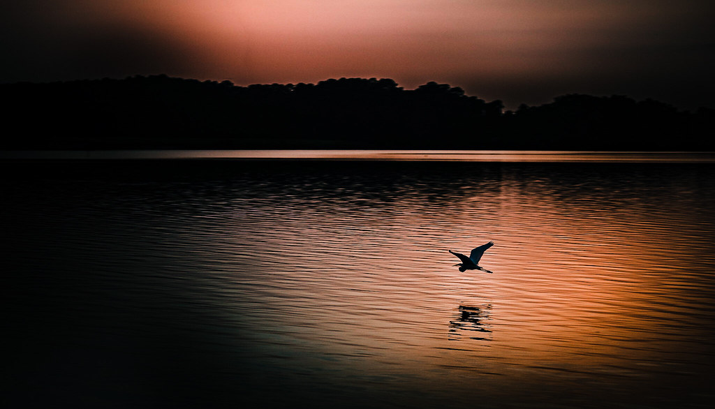 Lake Vernon, Louisiana Beautiful evening in Lake Vernon, L… Flickr