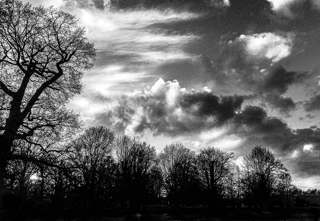 Dunham Massey, Dec22 Kevin Mcloughlin Flickr