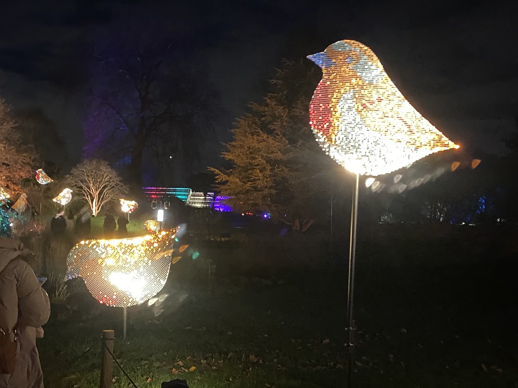 Kew Gardens Christmas lights 2023 jo O'callaghan Flickr