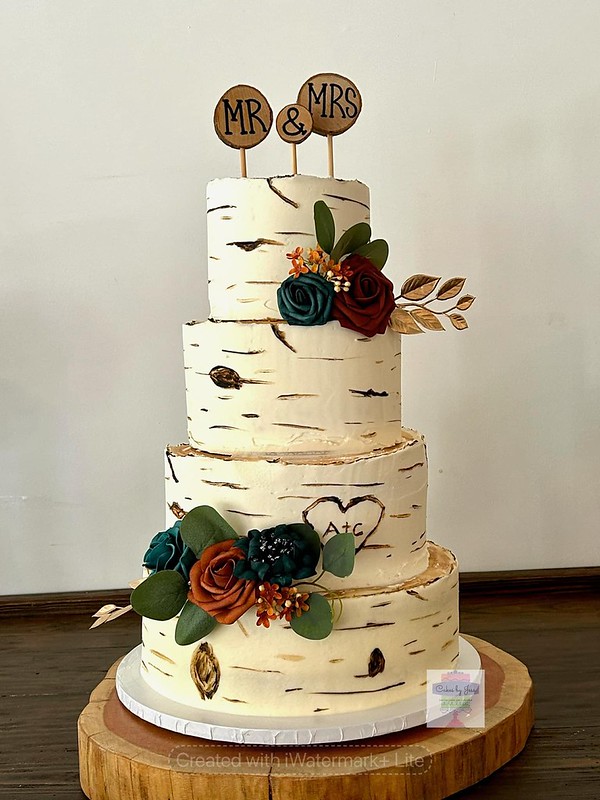 Vote WorldClass Cake Maker Page 20 of 25