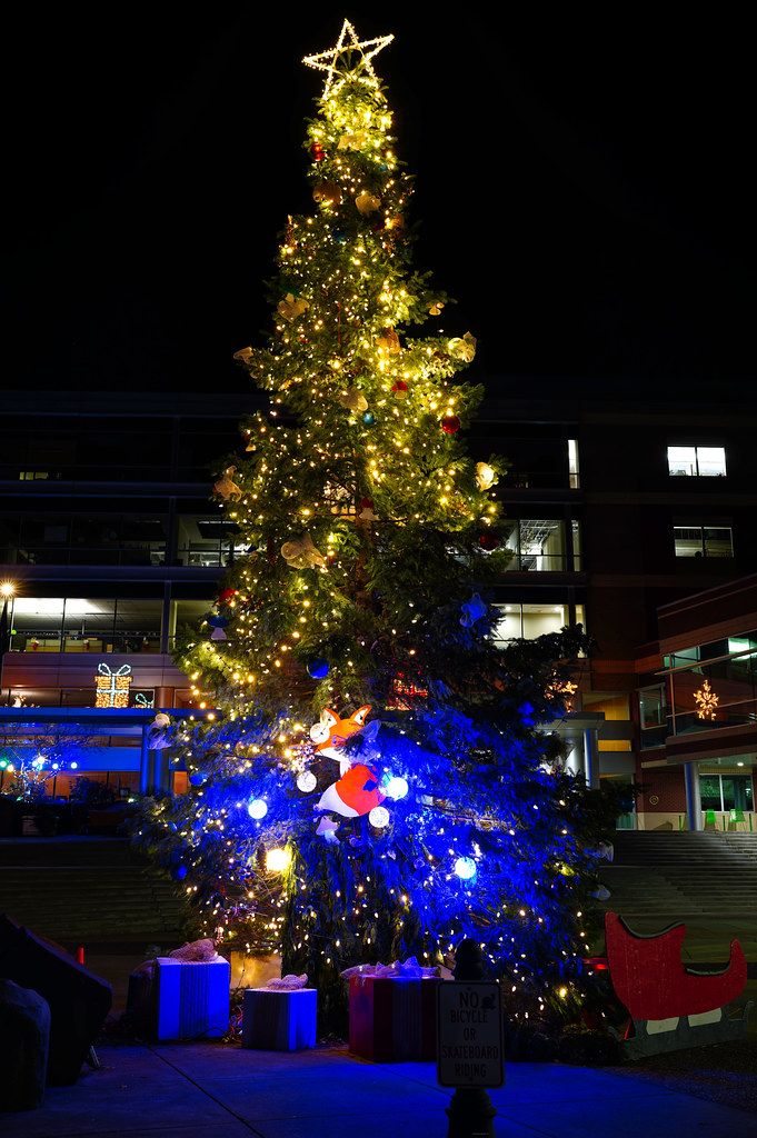 Hillsboro Christmas Tree Todd Ar Flickr