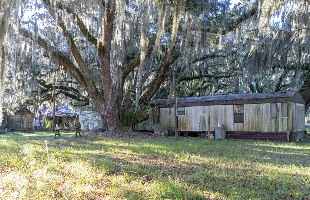 Hog Hammock, Sapelo Island (GA) Ben Hagen Flickr