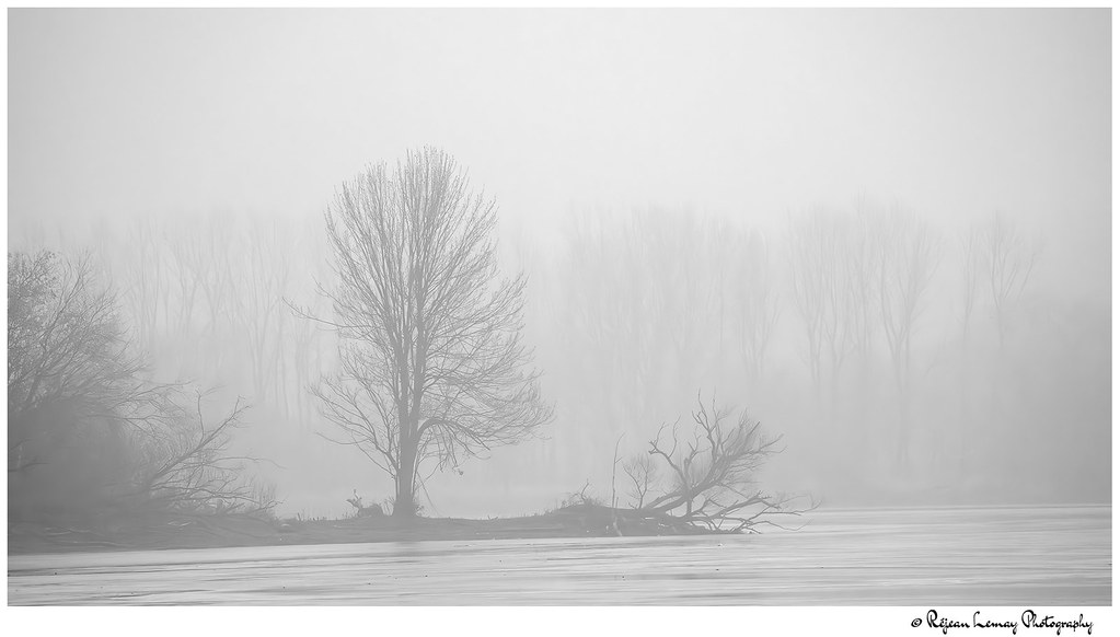 Kingston Weather White Xmas Eve ______ 01_SZN6777Enhanc… Flickr