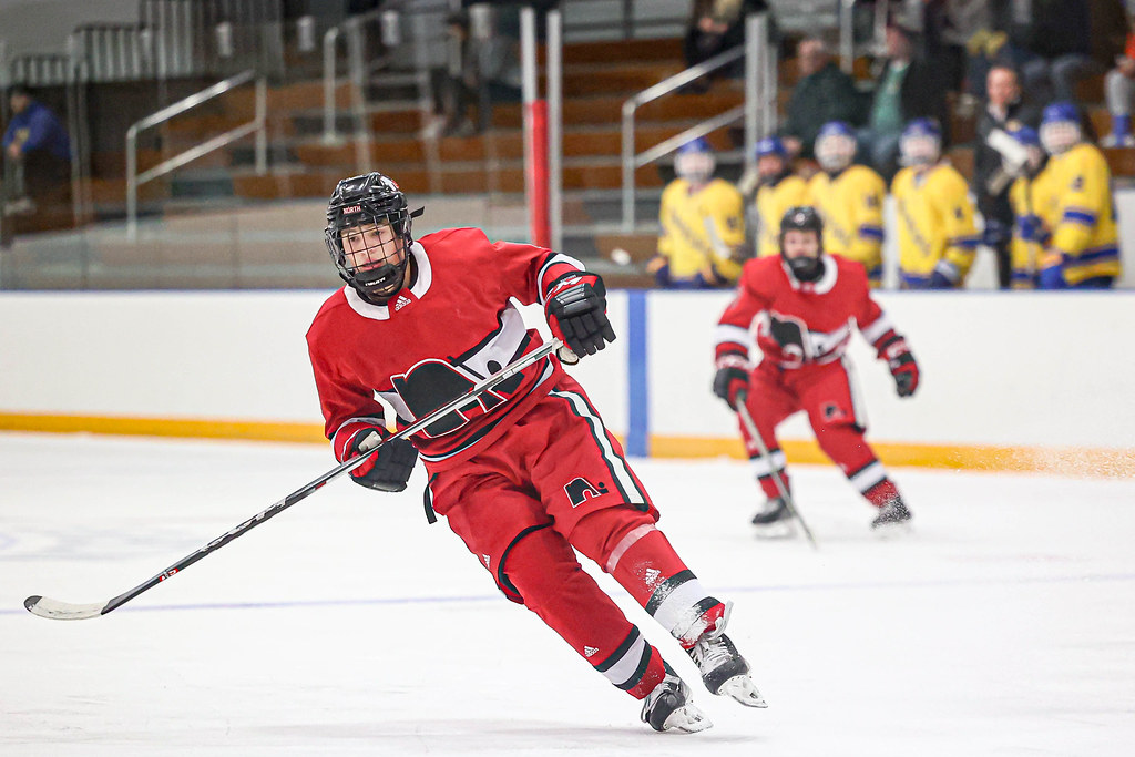 D46A0374.jpg Lakeville North boys hockey at Hastings, 121… Mark