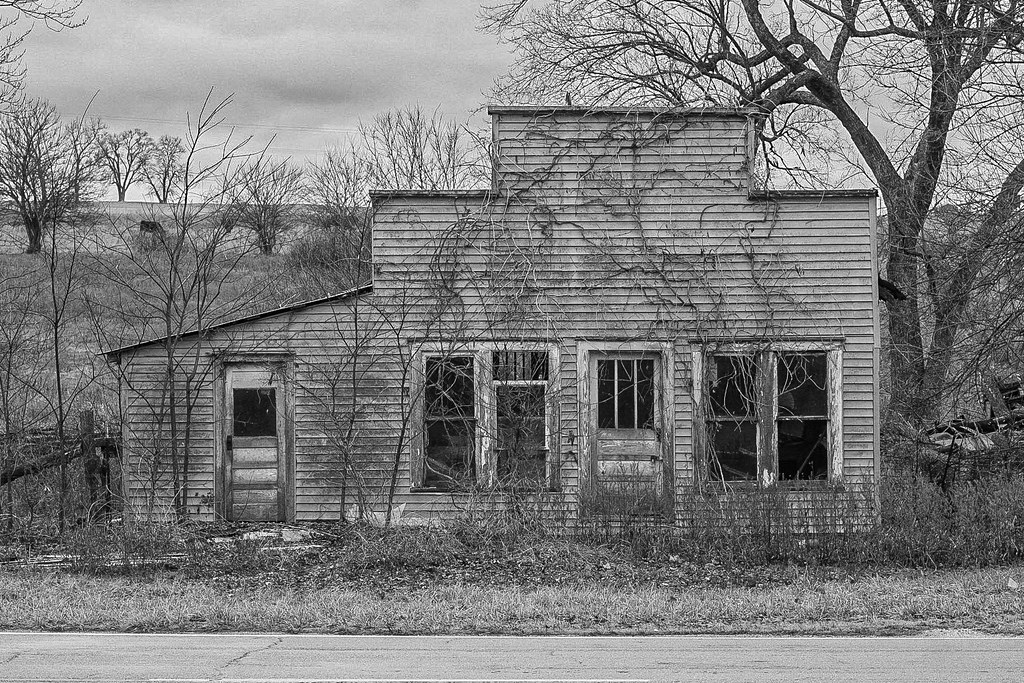 _2023_12_24_ Brandon Dampier Flickr