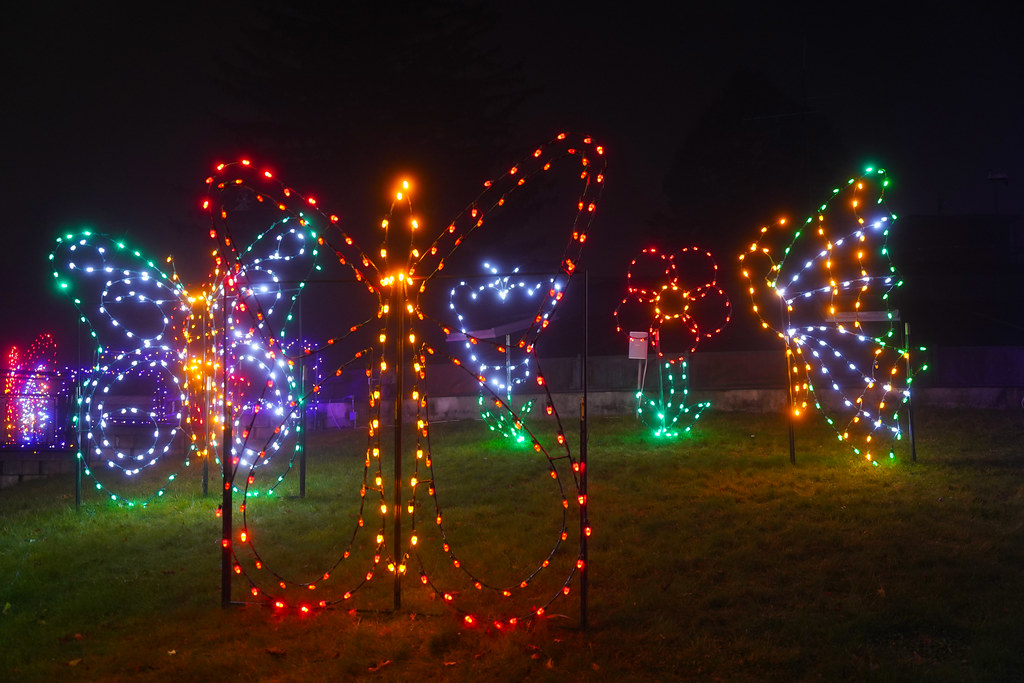 RWP Zoo Holiday Lights Spectacular 2023 Jim Hendrickson Flickr