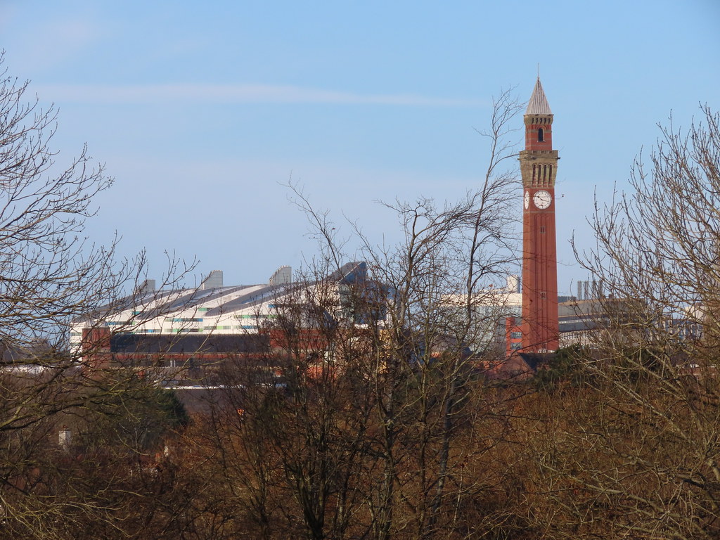 Queen Elizabeth Hospital Birmingham and Old Joe behind Holders Lane