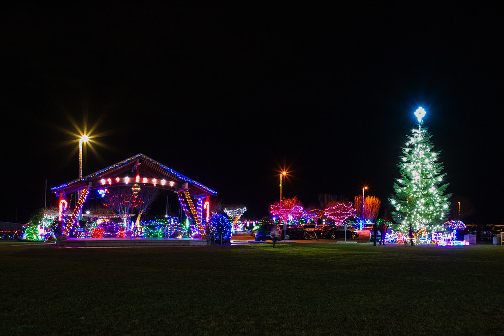 Gazebo & Tree Holiday Lights, Kingston WA Carol Evanger Flickr