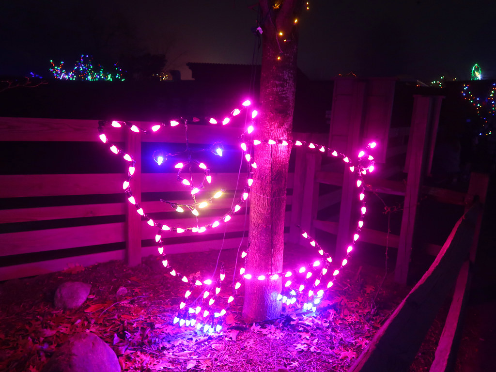 RWP Zoo Holiday Lights Spectacular 2023 Jim Hendrickson Flickr