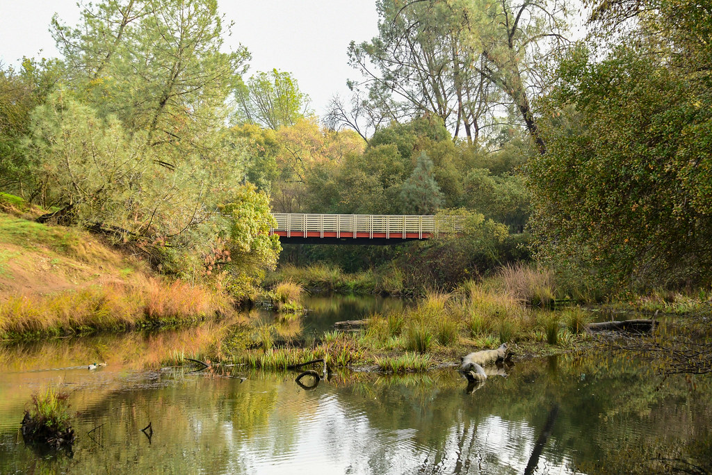 Willow Creek Folsom Lake State Recreation Area Sally Cullen Flickr