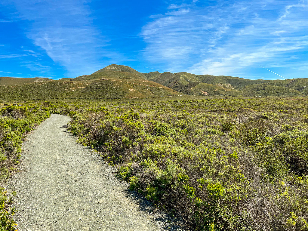 20230326 Bluff Trail hike06.jpg Bluff Trail, Montaña de… Flickr