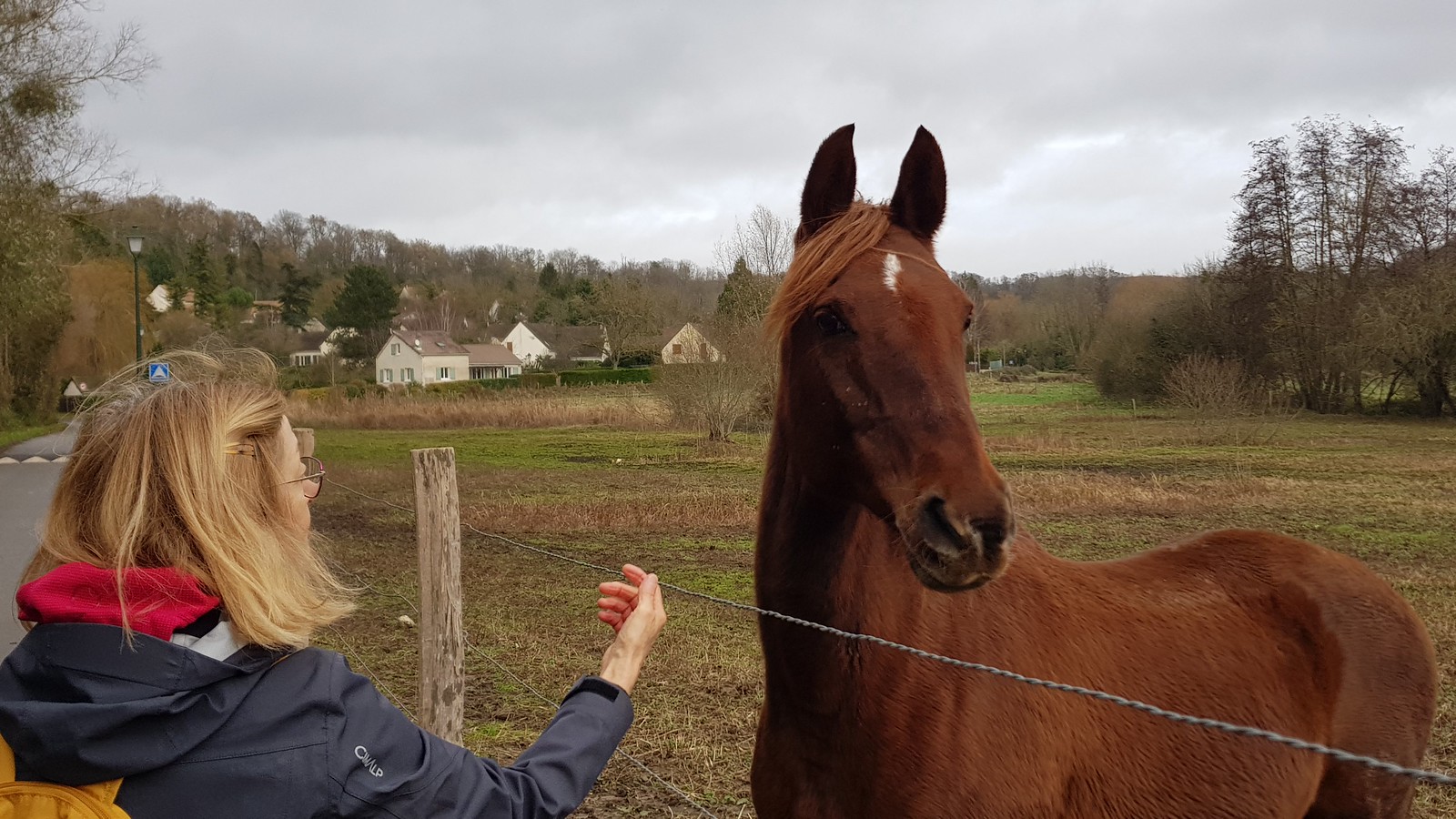 231210 Hédouville Frouville (Agnès) Flickr