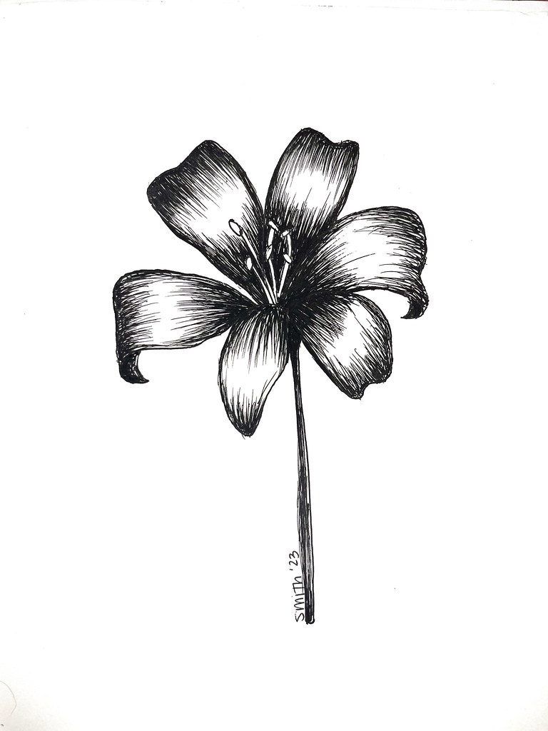 Lily Pen The flowers represent purity, innocence and rebi… Flickr