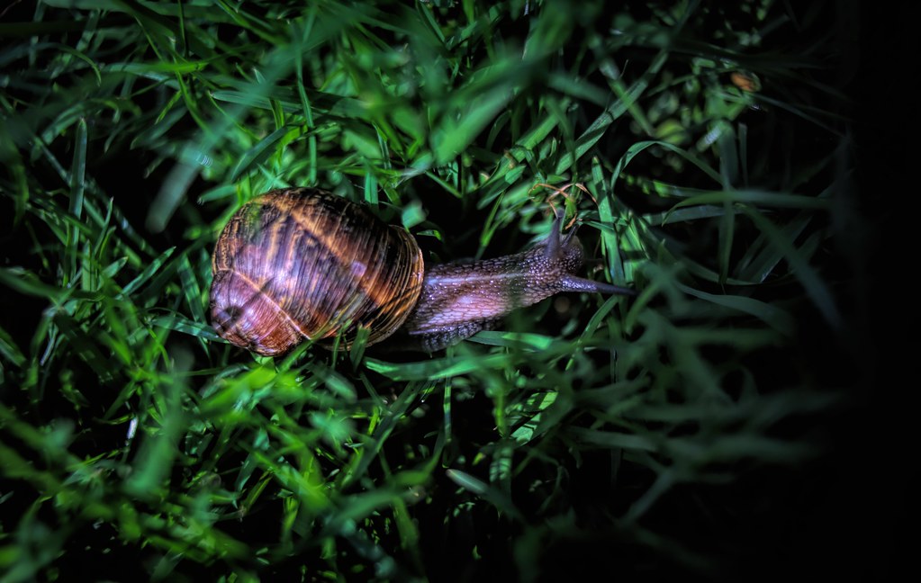 3K2A6435studio Jim Driscoll Flickr