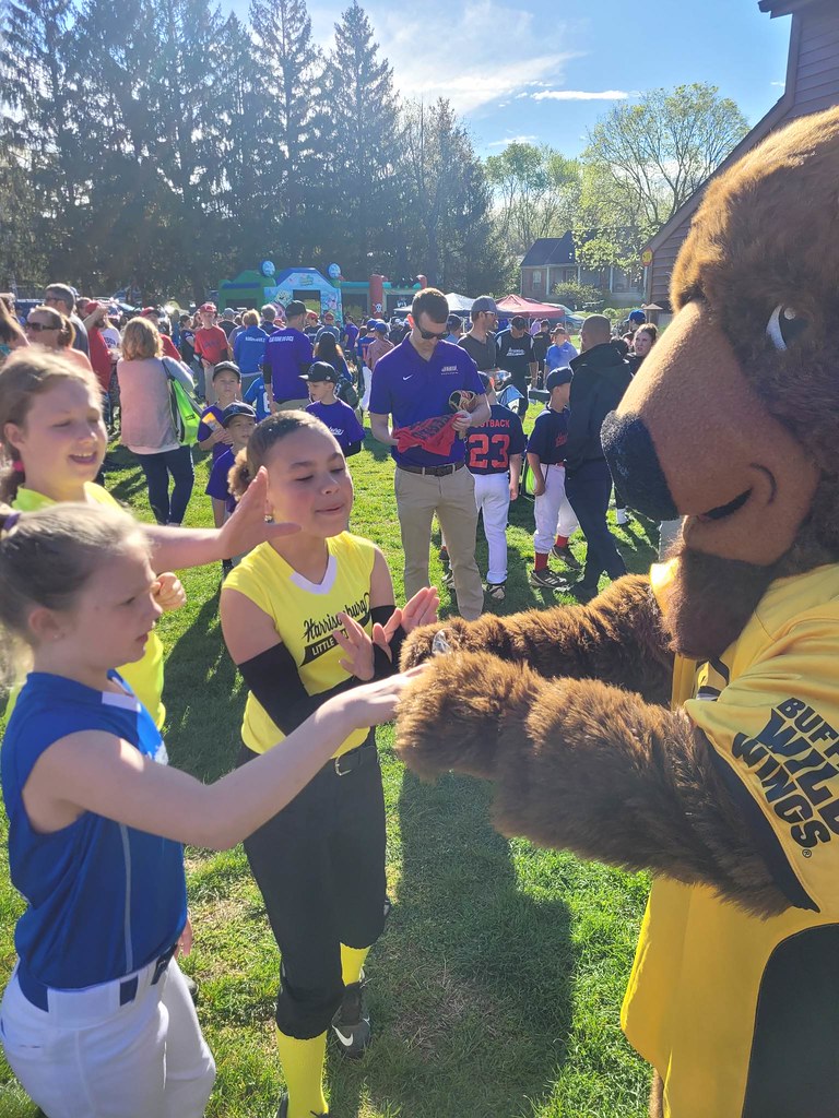 received_752987016328417 Opening Day Harrisonburg Little League