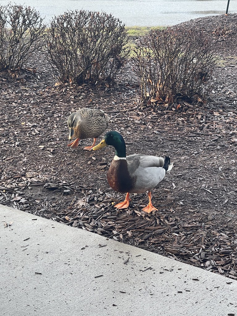 The Greater Tritown Area Historical Society, Dawson PA