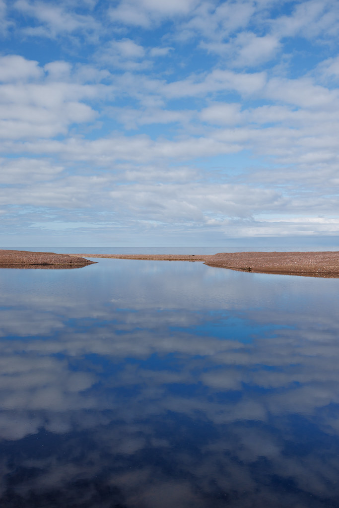 Black Creek Nature Sanctuary David Lee Flickr
