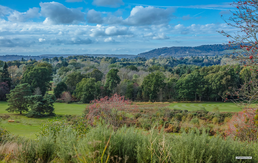 Tower Hill, Dorking, Ranmore Common and Box Hill in the No… Flickr