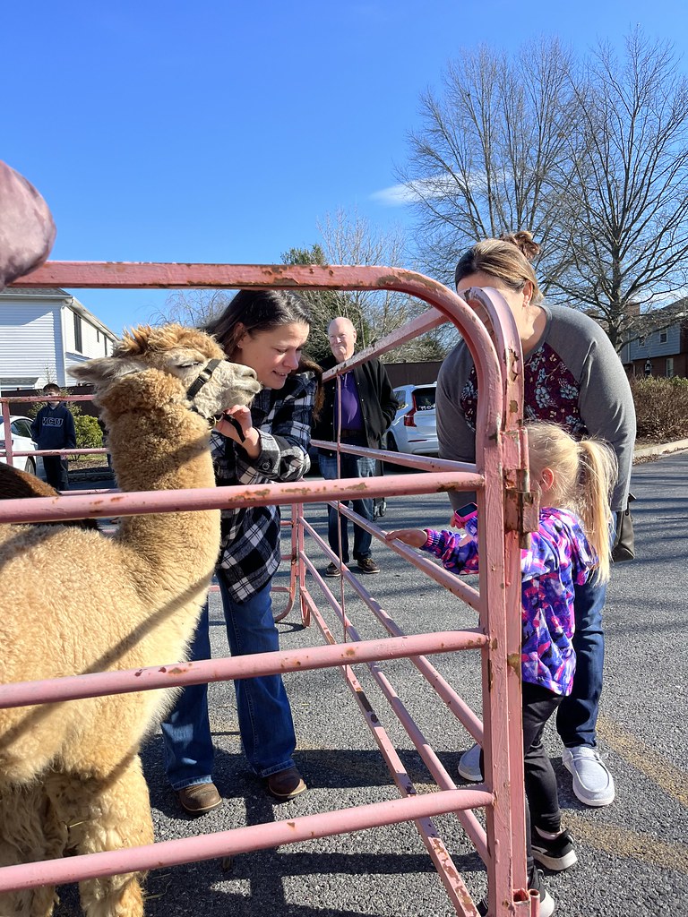 Untitled Frederick County Public Libraries Flickr