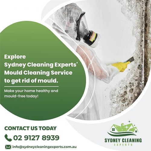 Professional Sydney Carpet Cleaning Mattress Cleaning … Flickr