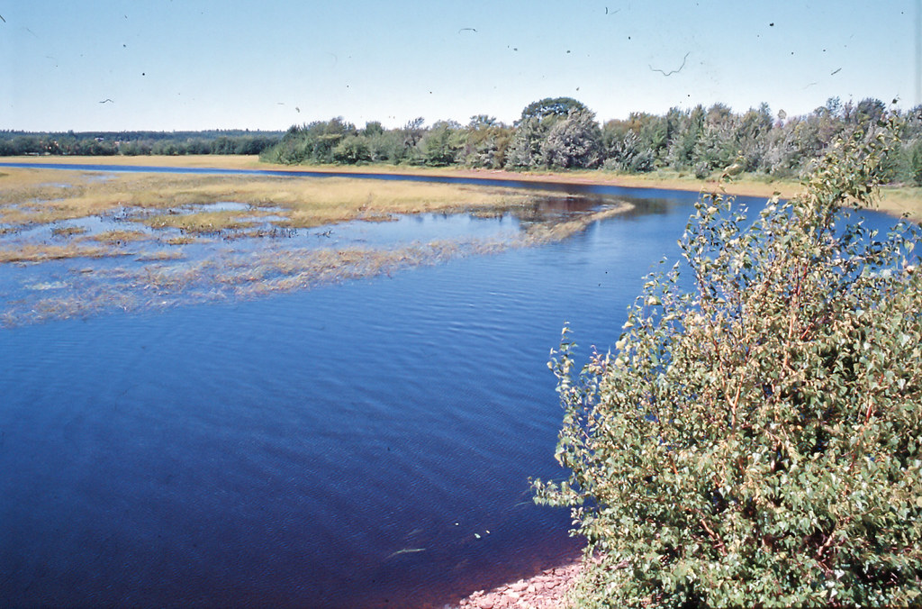 Canaan River at Starkey Bridge scan0168c Evan Gamblin Flickr