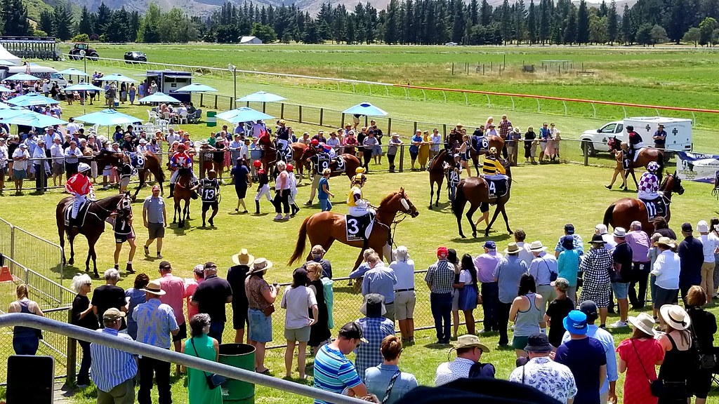 Kurow Races Joe Wallace Flickr
