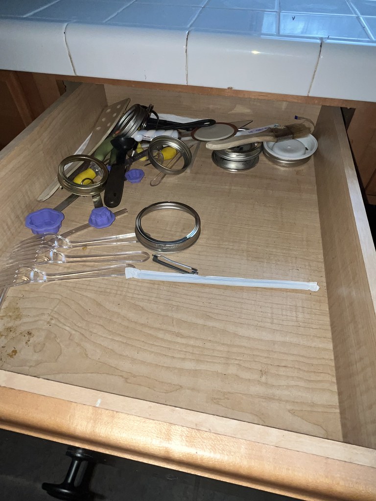 59398 Alderwood Precleaning pics taken 1/4/24 Deb Miller Flickr