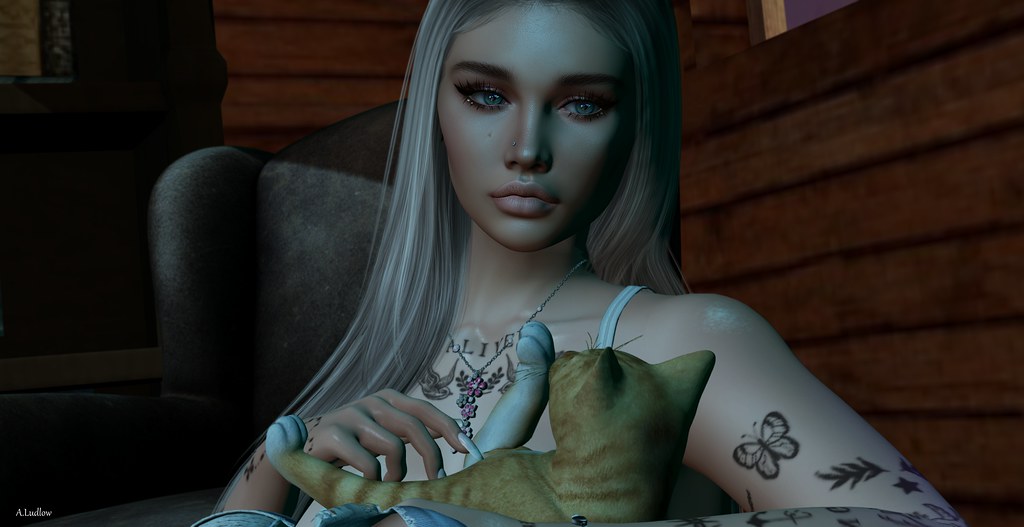 Soft Kitty Warm Kitty So I took this photo awhile ago. It'… Flickr