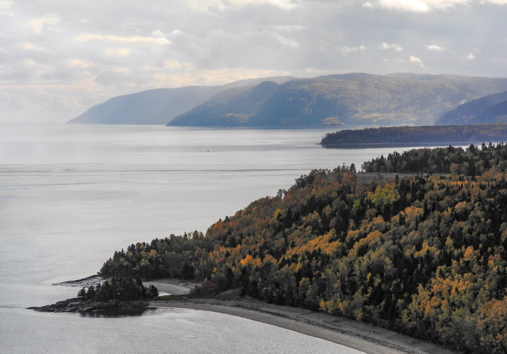 Le littoral brumeux du fleuve SaintLaurent à Tadoussac au… Flickr