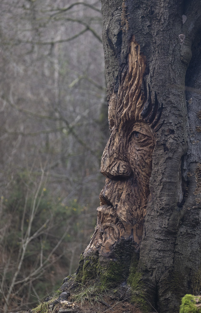 Tree carving Beech stump Gwaelod woods Nick Dallimore Flickr