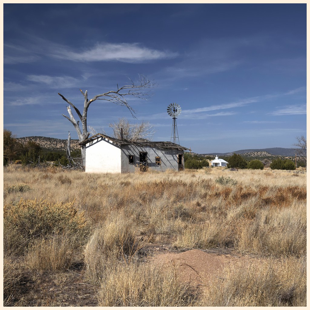 Old Horse Springs oldogs Flickr