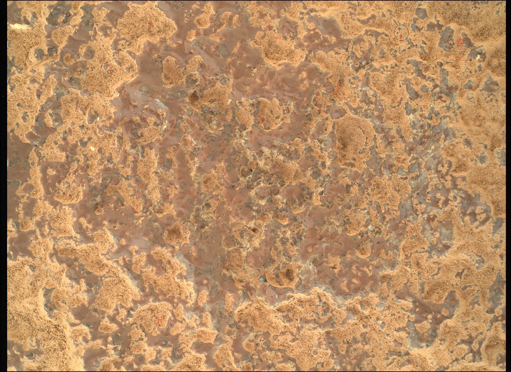 Sawdust on Mars Original photo mars.nasa.gov/mars2020/mul… Flickr