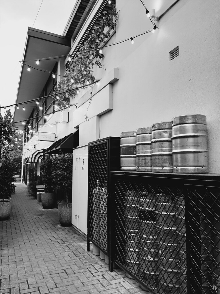 28 Cylindrical chowchilla Flickr