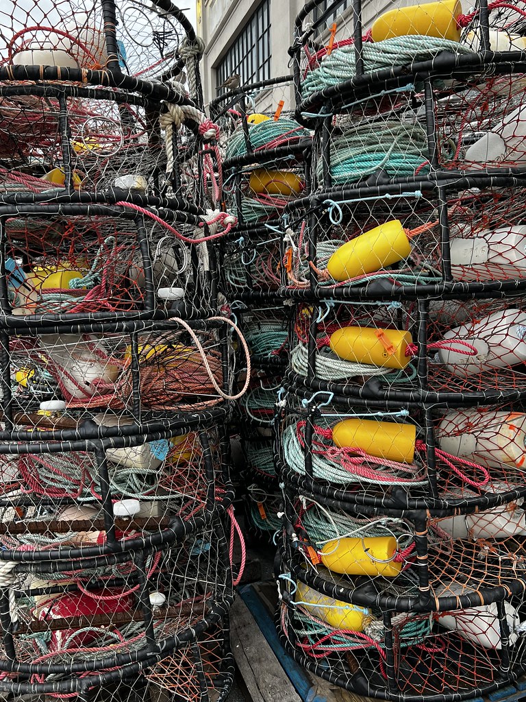 crab pots... Drop it down below Into the briny deep Don’t … Flickr
