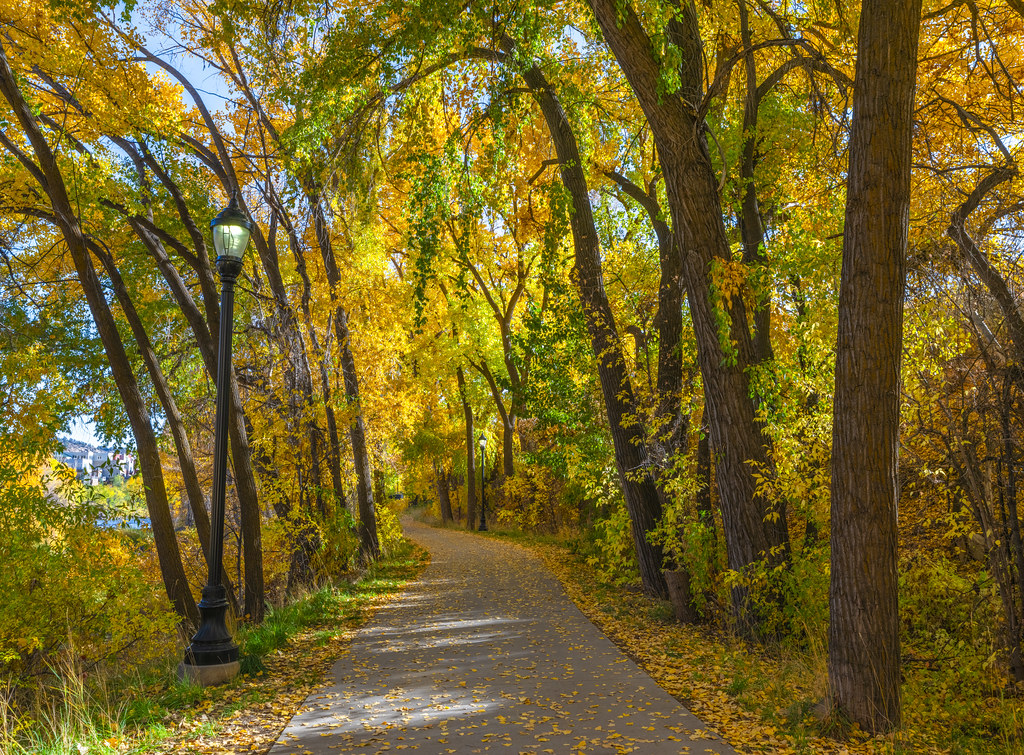 Autumn Path Durango Colorado Animas River Walk Yellow Orange Red