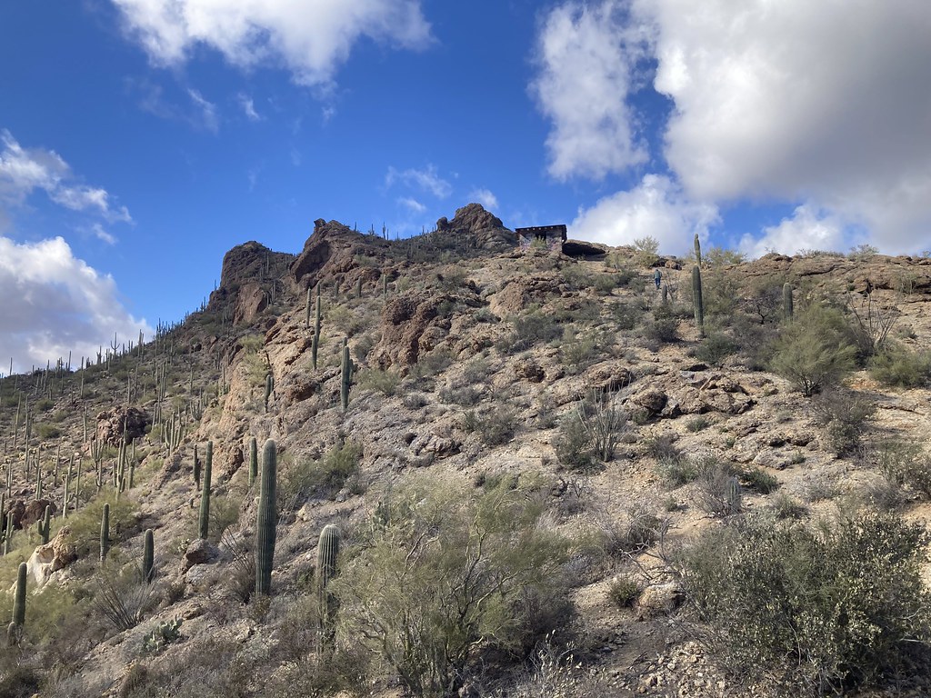 AZ Tucson Gates Pass Overlook in Tucson Mountain Park Flickr