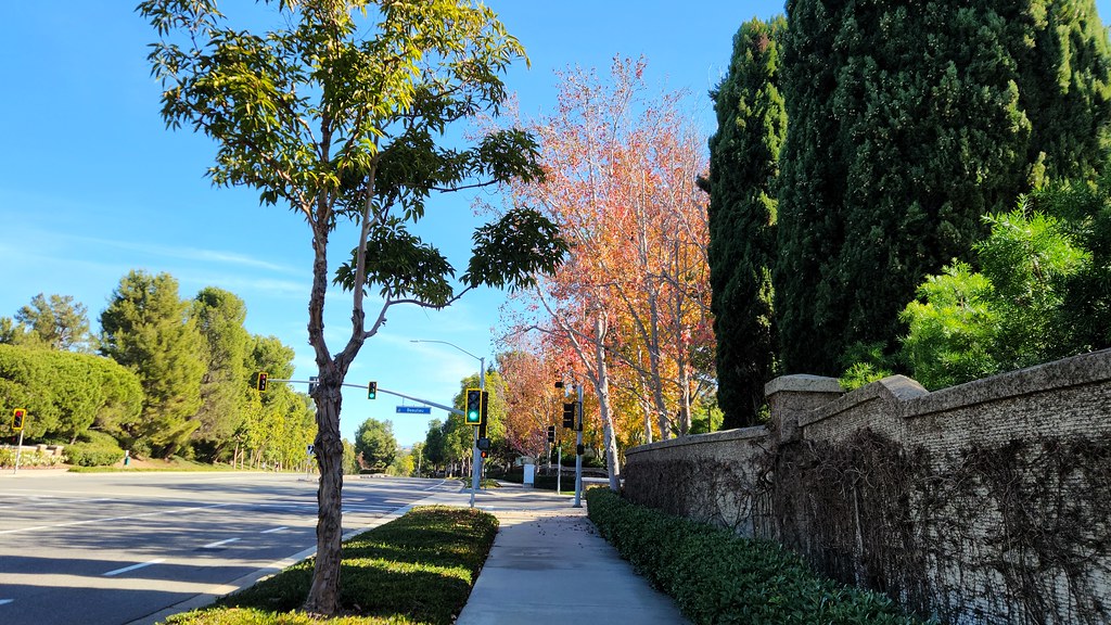 20240113_104211_San Joaquin Hills Road, looking north Flickr