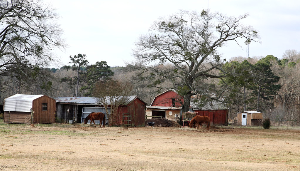 Farm Slater Rd. Anderson Co. SC DAVID THOMPSON Flickr