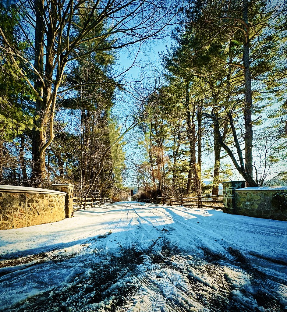 Corey Lane Mendham, NJ 17 January 2024 artskooldamage.… Flickr