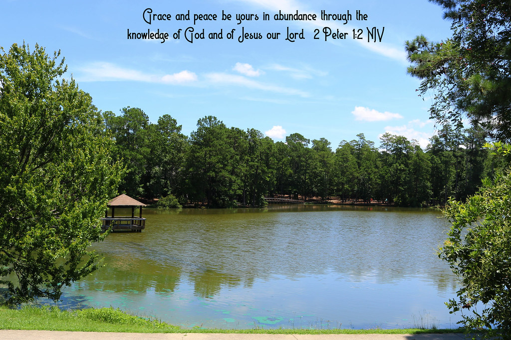 Harbison Lake, Columbia, South Carolina Simon Peter, a ser… Flickr