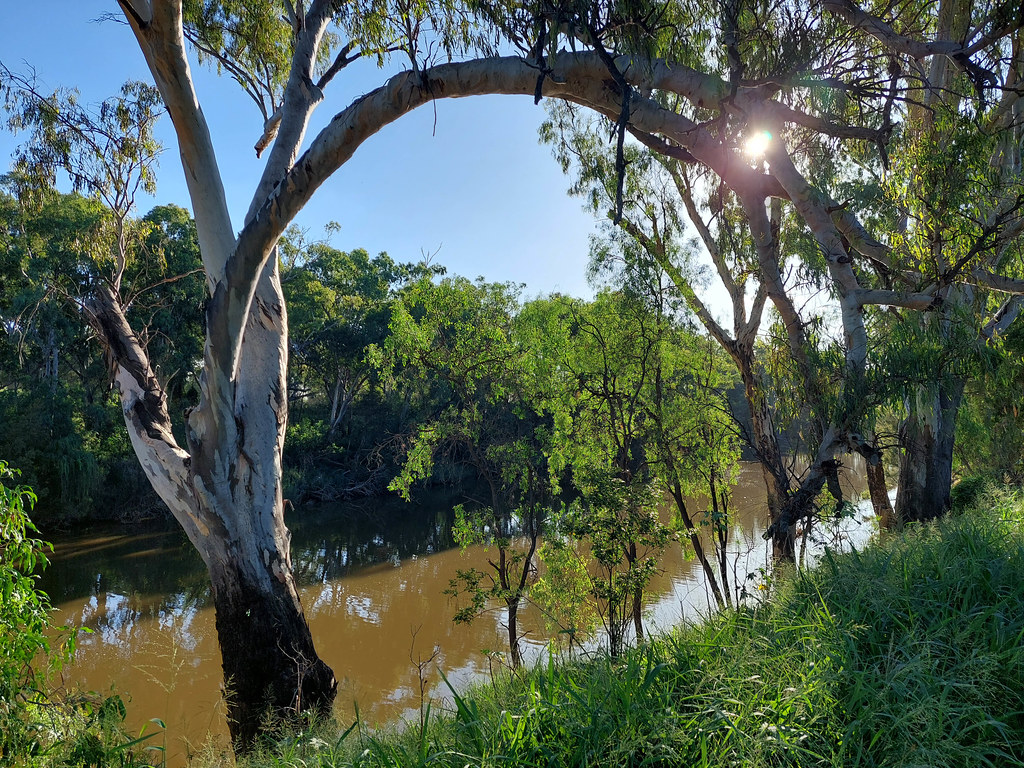 20240103_172547 Macintyre River Macintyre River at Goondiw… Flickr