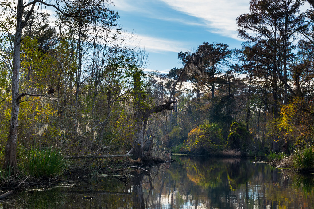Louisiana Bayou & reflection Louisiana USA Gilbert Harrison Flickr
