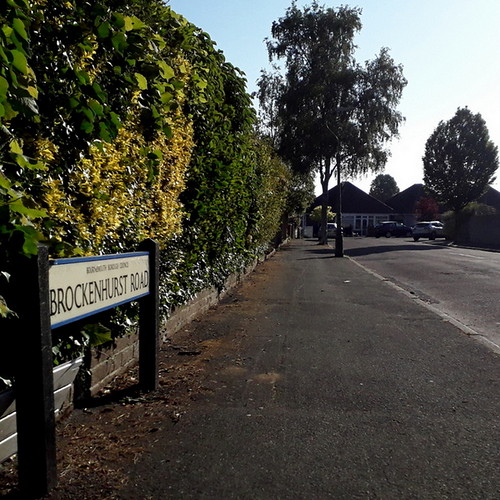 Brockenhurst Road, BH9 Chris Downer Flickr