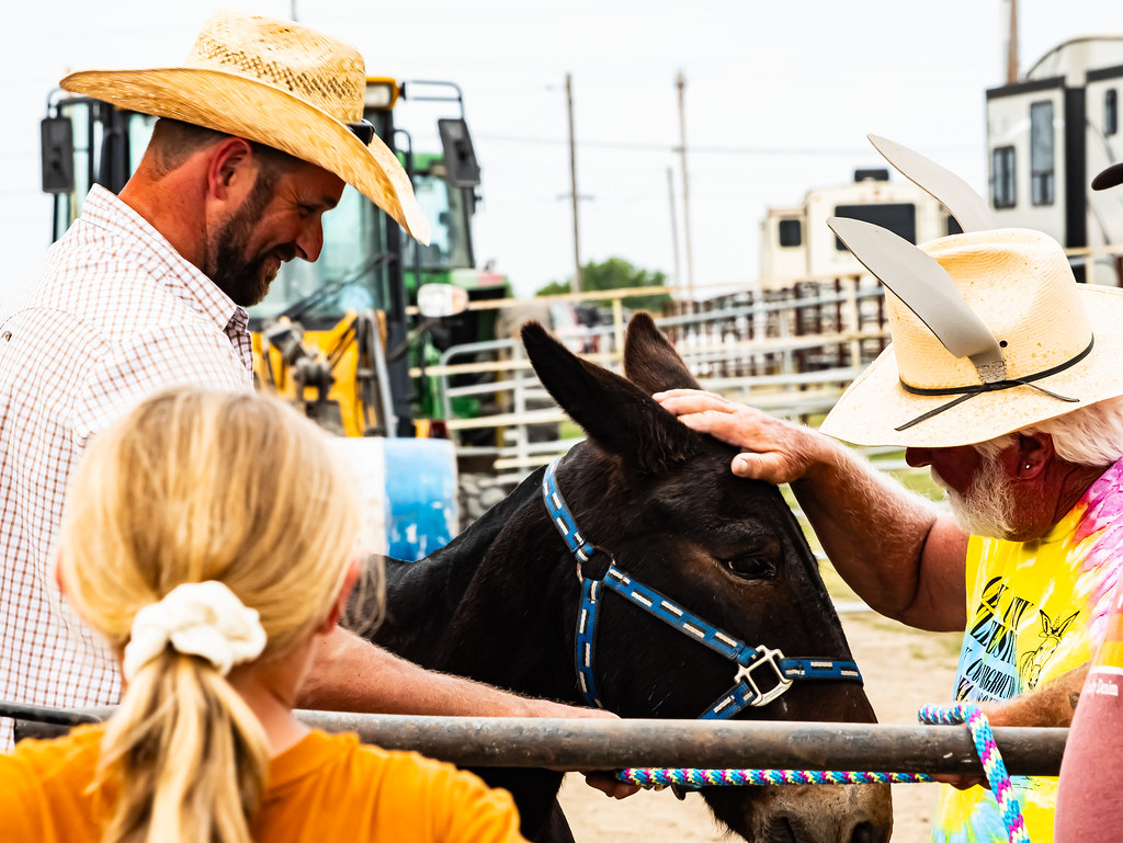 Mutual Admiration Clark County Mule Festival 2023 Kahoka, … Tony