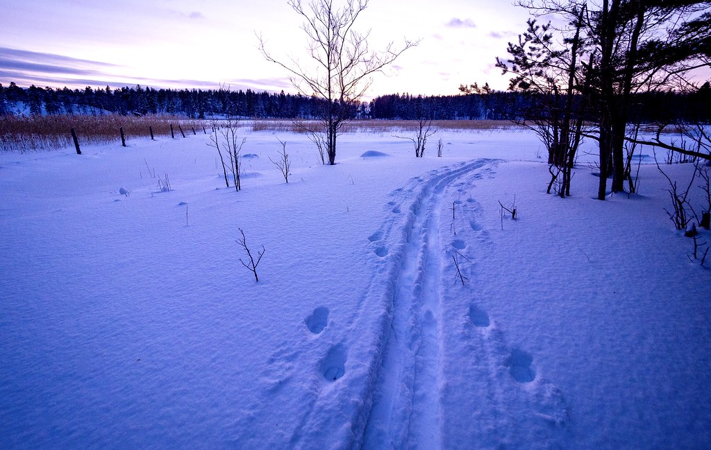 Our Ski tracks back Home… ☃️☃️ Bruksviken, EastHelsinki. Flickr