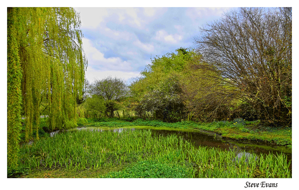 Stainton South Yorkshire april 2022 coulportste Flickr